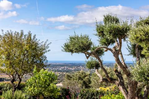 Villa de luxo com 6 quartos Santa Bárbara de Nexe € 1.500.000 | Casa de campo & Estúdio