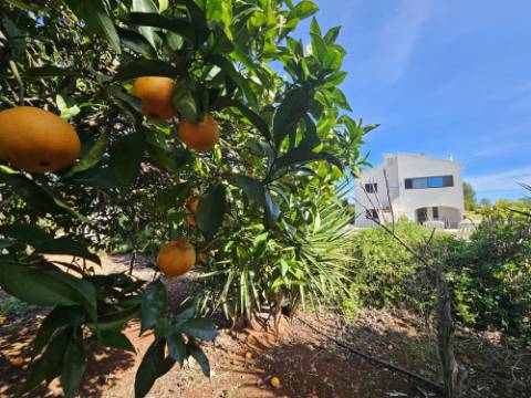 Moradia de 3 quartos +anexo numa zona calma