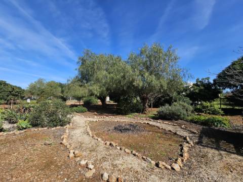 Moradia de 3 quartos +anexo numa zona calma