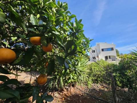 Moradia de 3 quartos +anexo numa zona calma