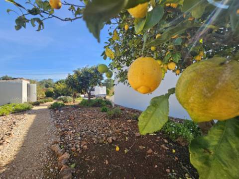 Moradia de 3 quartos +anexo numa zona calma