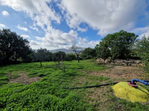VENDIDA PELA ' TA MAISON DE RÊVE'