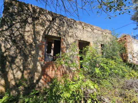 EXCLUSIVO-Terreno urbanizável perto de Salir