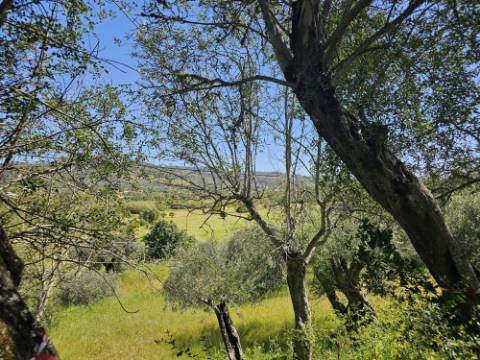 EXCLUSIVO-Terreno urbanizável perto de Salir