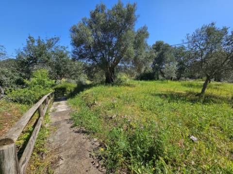 EXCLUSIVO-Terreno urbanizável perto de Salir