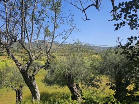 EXCLUSIVO-Terreno urbanizável perto de Salir