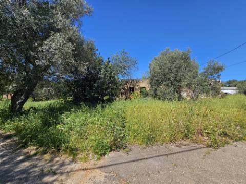 EXCLUSIVO-Terreno urbanizável perto de Salir