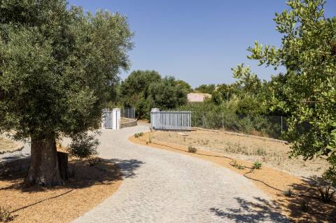 EXCLUSIVIDADE


CPCV ASSINADO