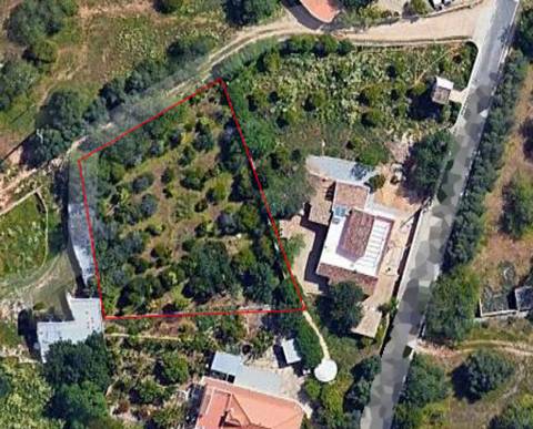 Terreno urbano com PIP