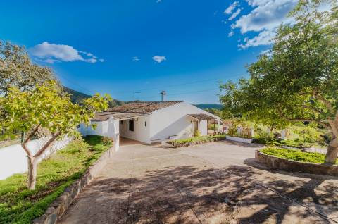 Moradia Tradicional Algarvia com 3 Quartos em Querença