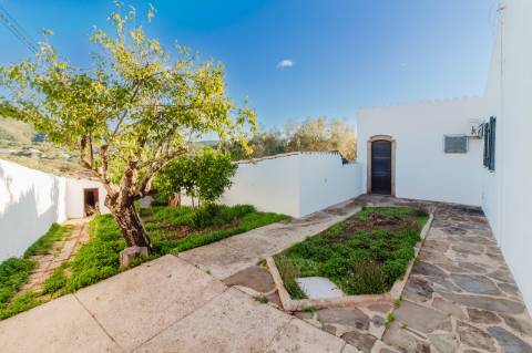 Moradia Tradicional Algarvia com 3 Quartos em Querença