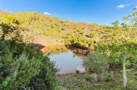 Moradia Tradicional Algarvia com 3 Quartos em Querença