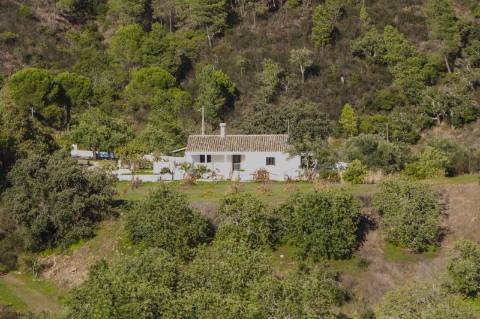Moradia Tradicional Algarvia com 3 Quartos em Querença