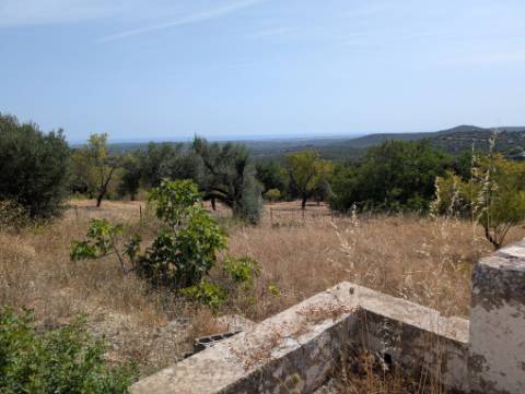 EXCLUSIVIDADE Terreno com vista mar e projecto approvado.