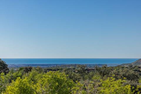 Linda Moradia 3 quartos e piscina