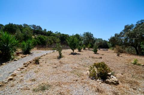 Moradia 6 quartos com piscina perto Moncarapacho.