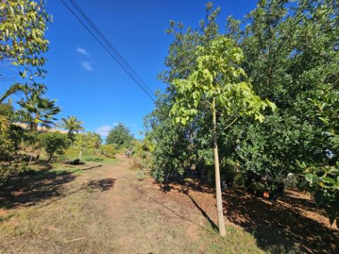 Moradia de charme com 2 quartos perto de Alte