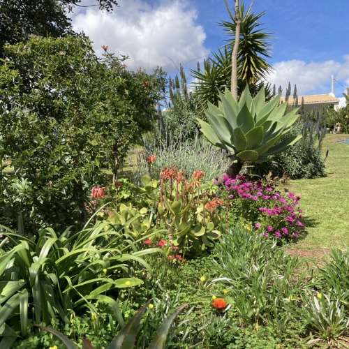 Moradia de charme com 2 quartos perto de Alte