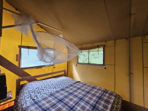 Moradia Tradicional Renovada com 4.300 m² de Terreno - Loulé