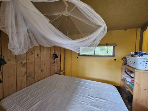 Moradia Tradicional Renovada com 4.300 m² de Terreno - Loulé