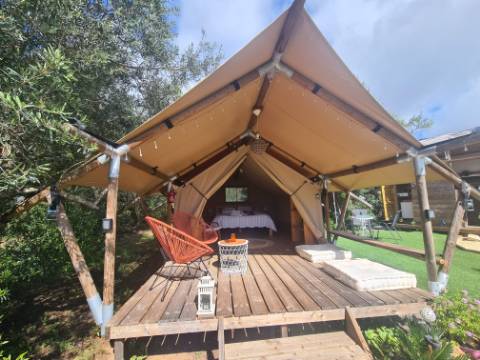 Moradia Tradicional Renovada com 4.300 m² de Terreno - Loulé