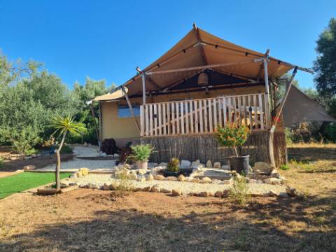 Moradia Tradicional Renovada com 4.300 m² de Terreno - Loulé