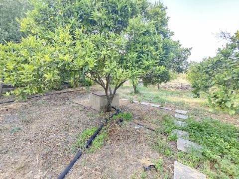 Duas Moradias numa Única Propriedade - Oportunidade Imperdível em Quarteira