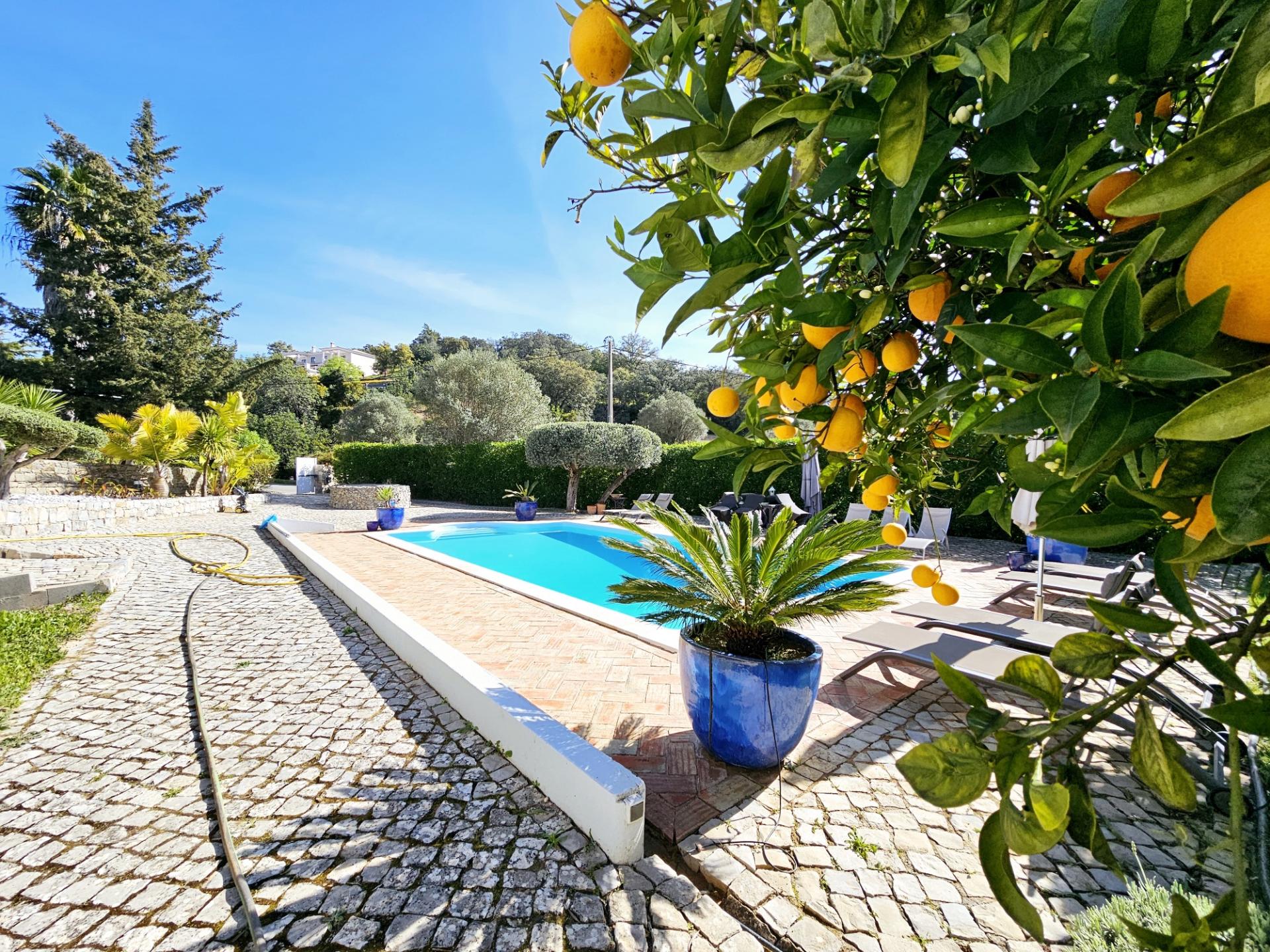 VENDIDO PELA ' TA MAISON DE RÊVE'