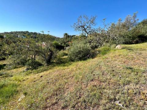 Terreno com Projeto Aprovado com Excelente Localização