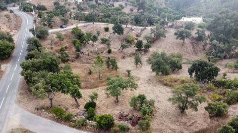 2 terrenos para venda em Javali, 1 com projecto aprovado.
