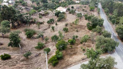 2 terrenos para venda em Javali, 1 com projecto aprovado.