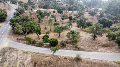 2 terrenos para venda em Javali, 1 com projecto aprovado.
