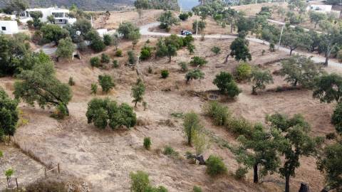2 terrenos para venda em Javali, 1 com projecto aprovado.