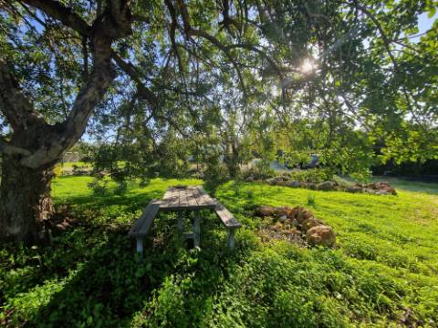 VENDIDA PELA 'TA MAISON DE RÊVE'