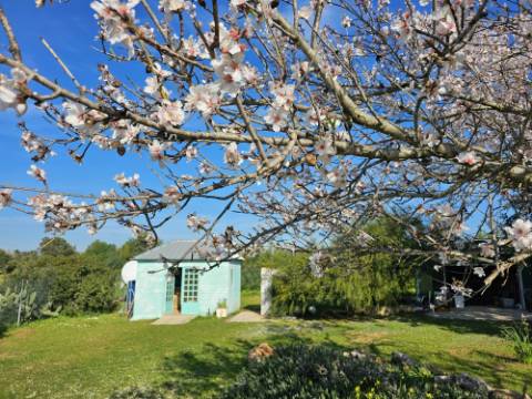 VENDIDA PELA 'TA MAISON DE RÊVE'