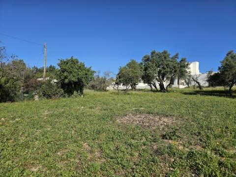EXCLUSIVO-Excecional terreno em Santa Barbara de Nexe com vista mar