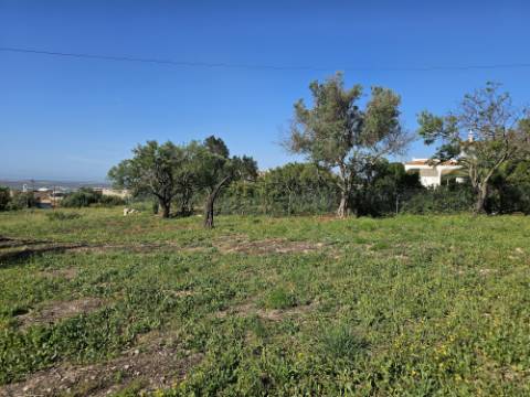 EXCLUSIVO-Excecional terreno em Santa Barbara de Nexe com vista mar