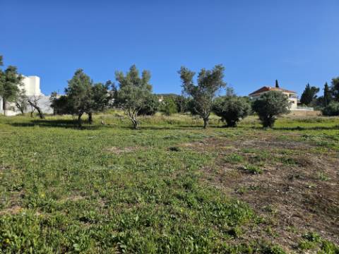 EXCLUSIVO-Excecional terreno em Santa Barbara de Nexe com vista mar