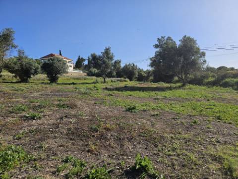 EXCLUSIVO-Excecional terreno em Santa Barbara de Nexe com vista mar