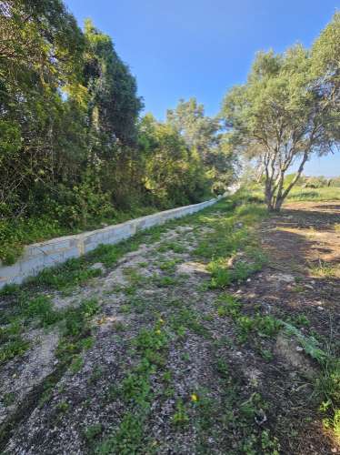 EXCLUSIVO-Excecional terreno em Santa Barbara de Nexe com vista mar