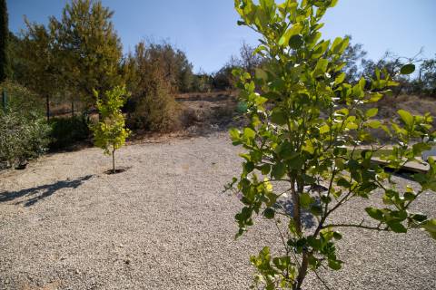 Magnifica propriedade de 4 quartos com vista mar.
