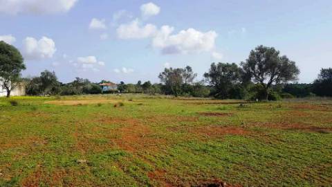 Terreno para venda - Algarve - Loulé - Almancil.