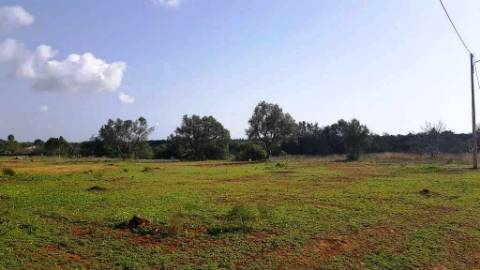 Terreno para venda - Algarve - Loulé - Almancil.