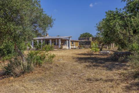 Fantástica quinta com grande potencial, composta por três imóveis urbanos e cerca de 3 hectares de terreno.