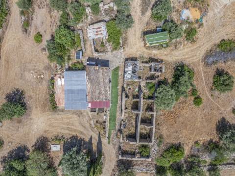 Fantástica quinta com grande potencial, composta por três imóveis urbanos e cerca de 3 hectares de terreno.