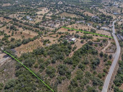 Fantástica quinta com grande potencial, composta por três imóveis urbanos e cerca de 3 hectares de terreno.