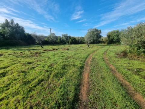 Terreno misto localizado em Poço Novo, a apenas 5 minutos do centro de Loulé, numa zona de grande tranquilidade e fácil acessibilidade.