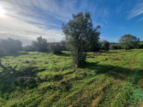 Terreno misto localizado em Poço Novo, a apenas 5 minutos do centro de Loulé, numa zona de grande tranquilidade e fácil acessibilidade.