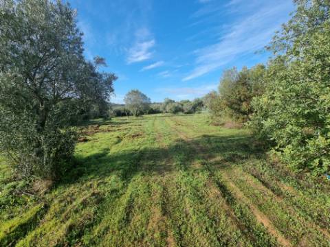 Terreno misto localizado em Poço Novo, a apenas 5 minutos do centro de Loulé, numa zona de grande tranquilidade e fácil acessibilidade.