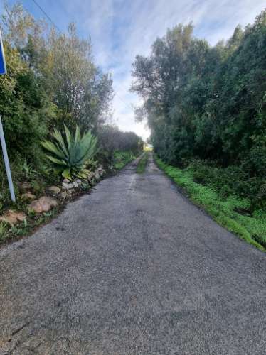 Terreno misto localizado em Poço Novo, a apenas 5 minutos do centro de Loulé, numa zona de grande tranquilidade e fácil acessibilidade.